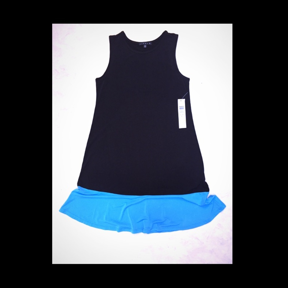 NWT Color Block Shift Dress
