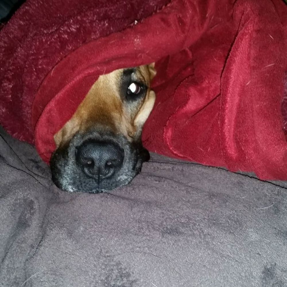 Meet your Posher, Sita