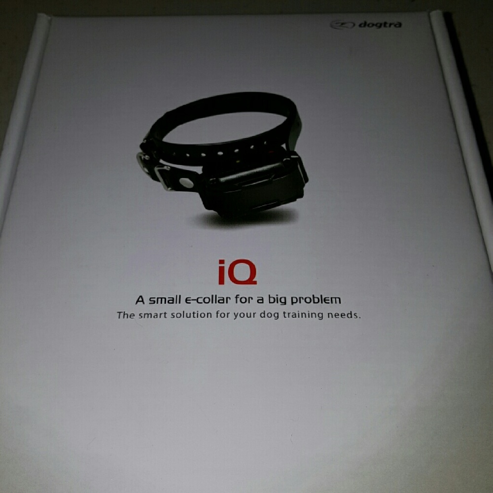 Iq small dog training collar