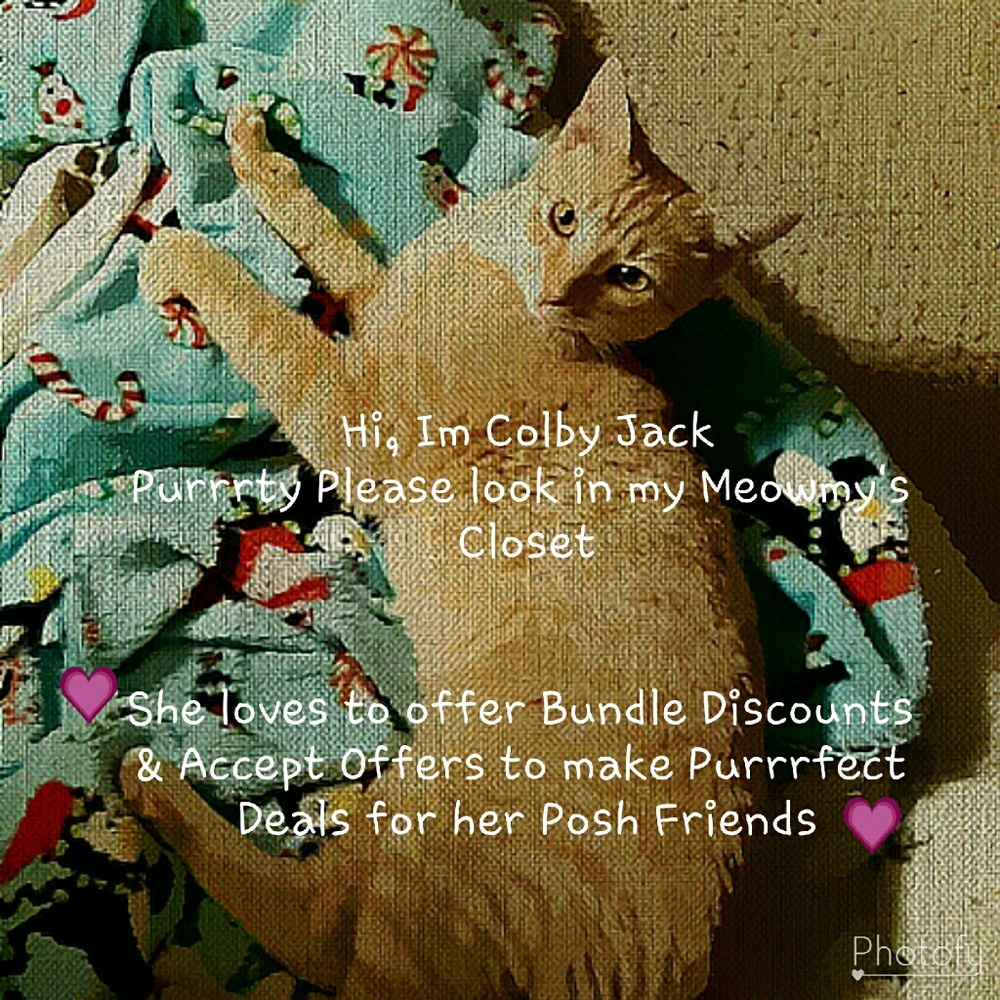 One of my helpers 💟 🐈