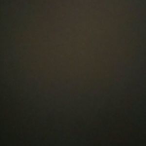 Meet your Posher, Darlene