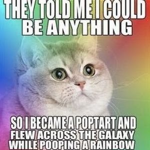 Meet your Posher, Malachi