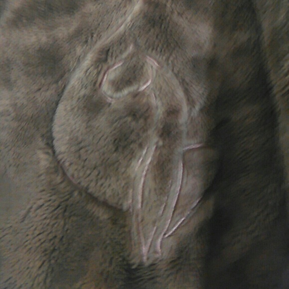 Coat - Picture 3 of 4