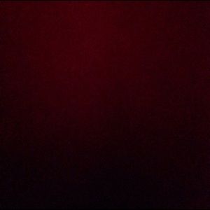 Meet your Posher, Ollie