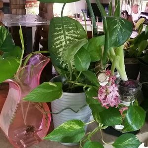 Meet your Posher, Tina