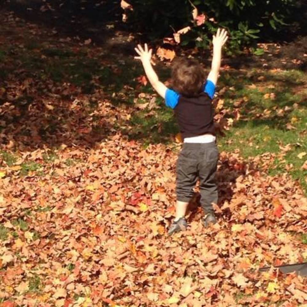 Meet your Posher, Judah