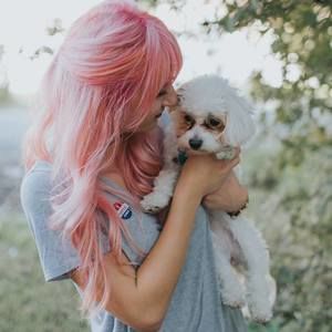 Meet your Posher, Morgan