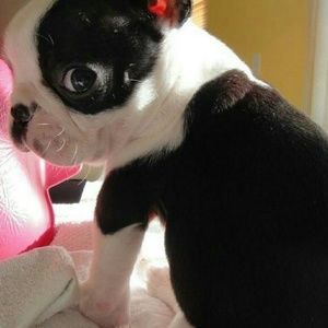 Meet your Posher, Sue