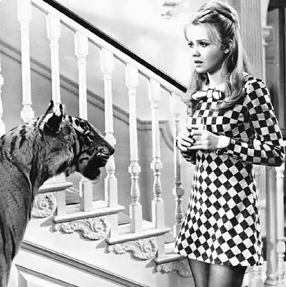 pretty clothing ranging from sizes small to large