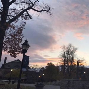 Meet your Posher, Tonya