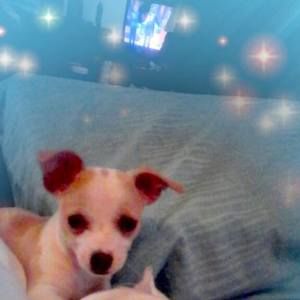 Meet your Posher, Sherry