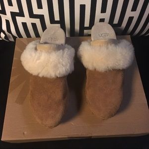 Ugg clogs