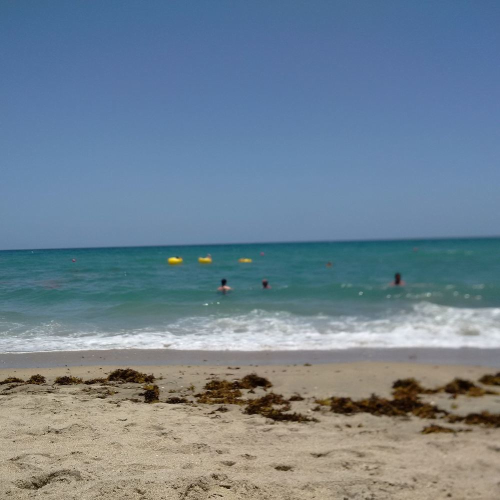 Meet your Posher, Ana