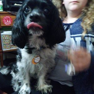 Meet your Posher, Tammy