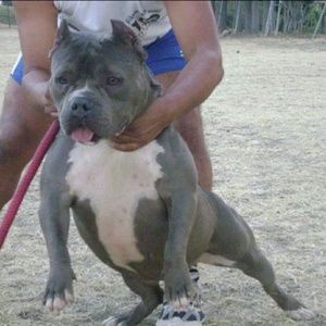 Meet your Posher, Thomas