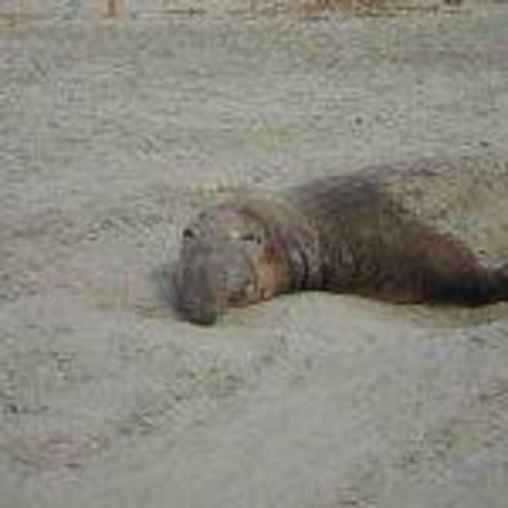 Meet your Posher, Jacqueline