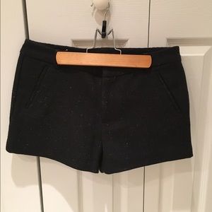 Professional dress shorts