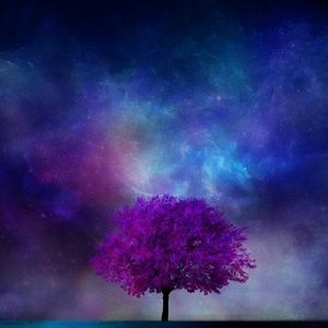 Meet your Posher, Daniela