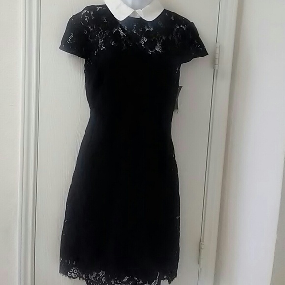 Lauren Ralph Lauren Dresses - Lauren Ralph Lauren lace contrast collar Dress Lauren Ralph Lauren Dresses - Lauren Ralph Lauren lace contrast collar Dress