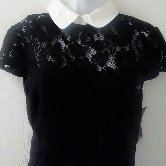 Lauren Ralph Lauren Dresses - Lauren Ralph Lauren lace contrast collar Dress Lauren Ralph Lauren Dresses - Lauren Ralph Lauren lace contrast collar Dress