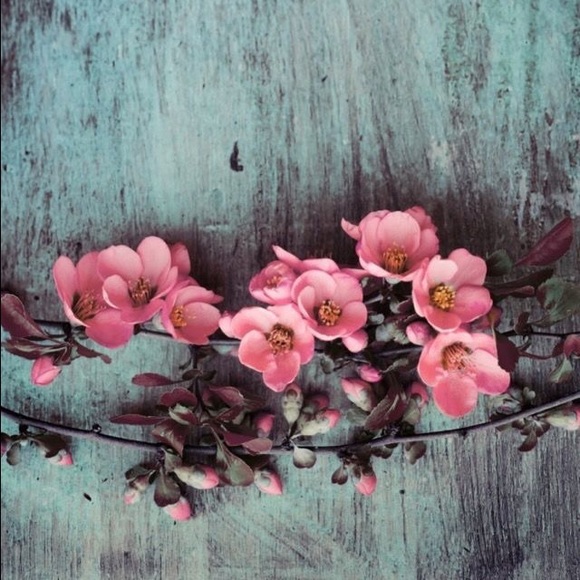 Meet your Posher, Corie - Picture 8 of 10