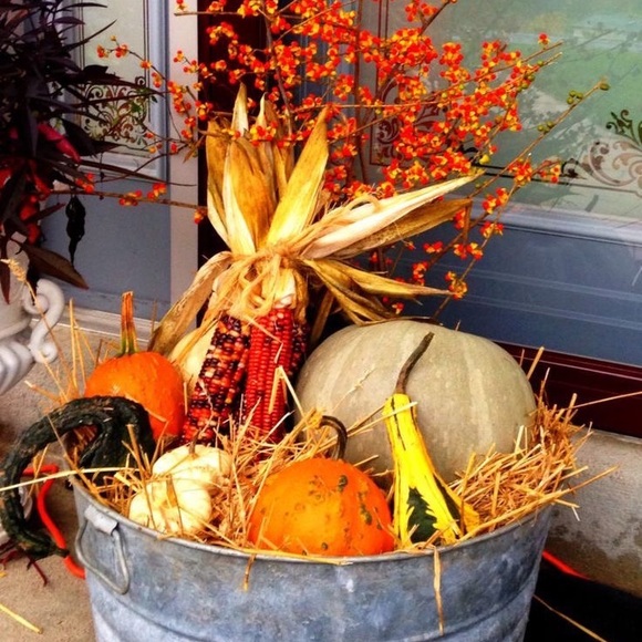 Meet your Posher, Corie - Picture 3 of 10