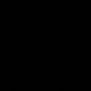 Meet your Posher, Carlos