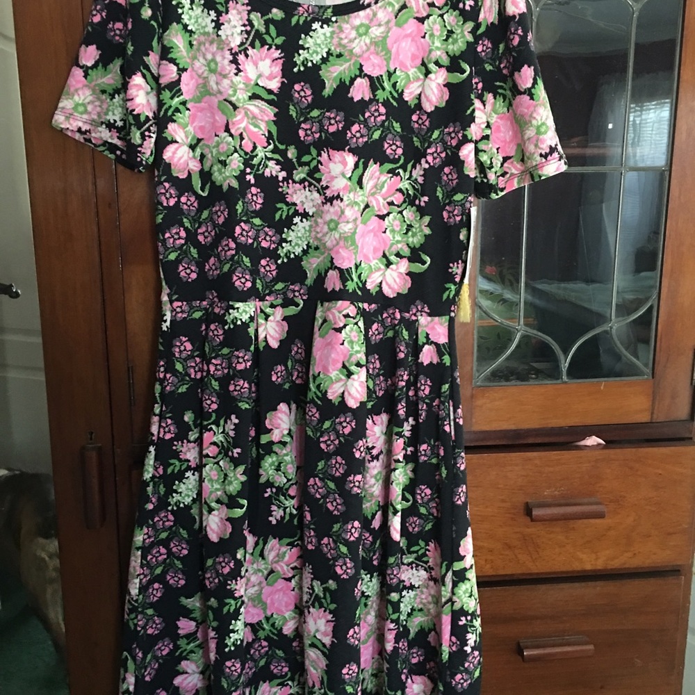CL Lularoe Amelia dress