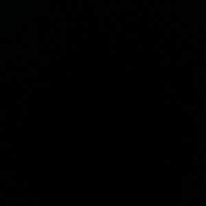 Meet your Posher, Fatimeh