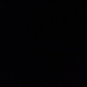 Meet your Posher, Bailey