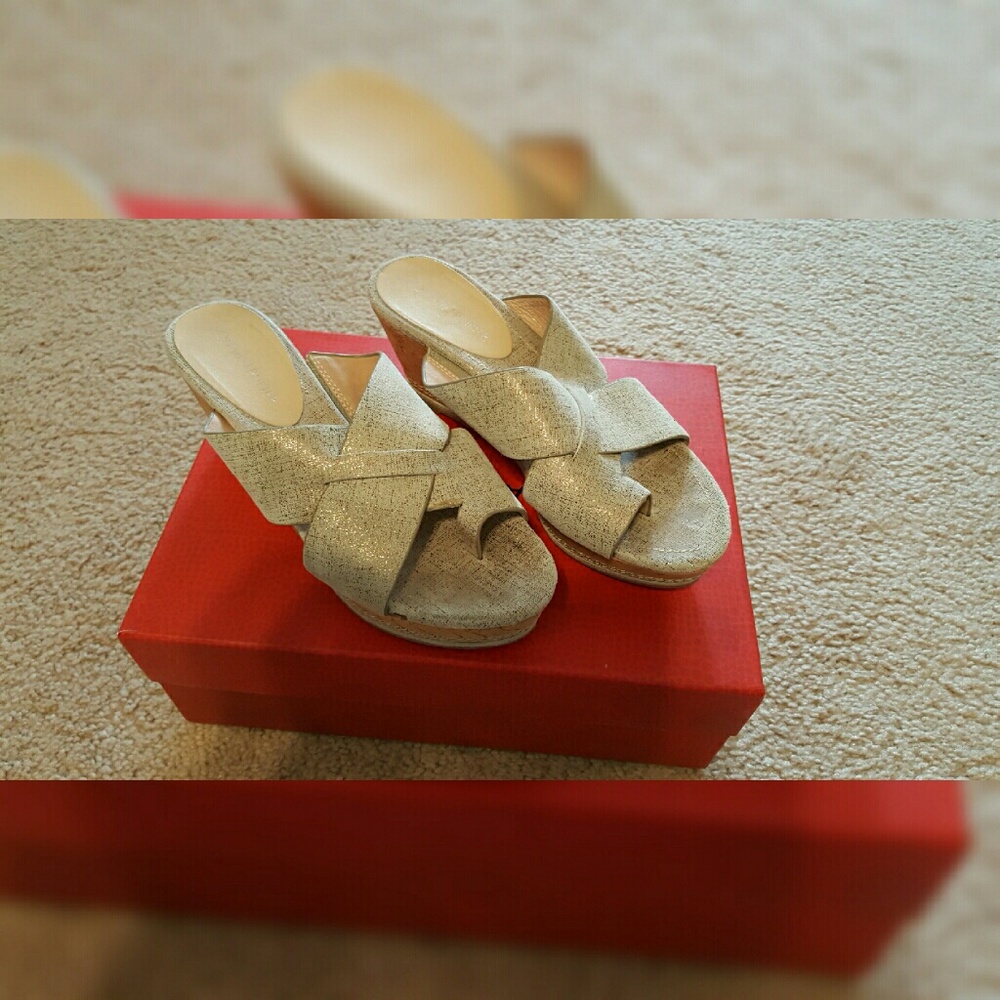 ❌SOLD Donald Pliner Metallic Cork Wedge Sandals❌
