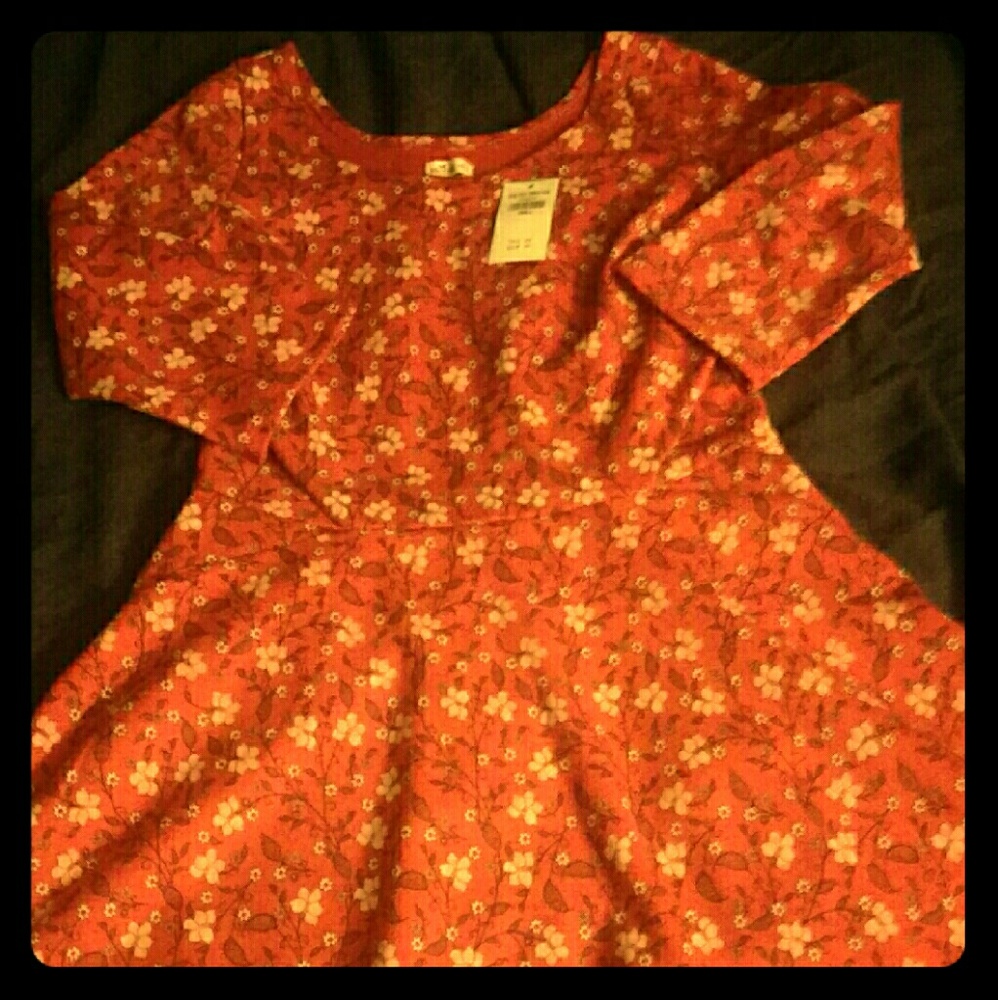Hollister 3 / 4 SLEEVE  DRESS
