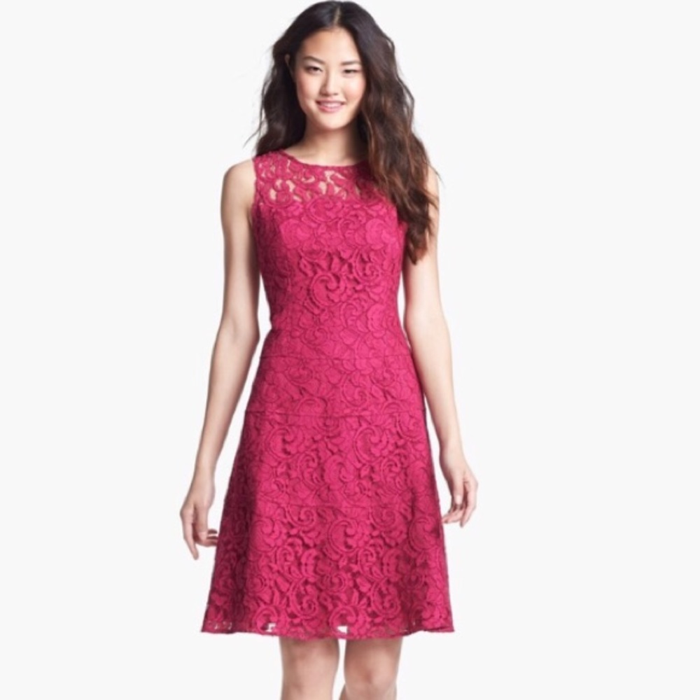 Adrianna Papell Pink Lace Fit & Flare Dress