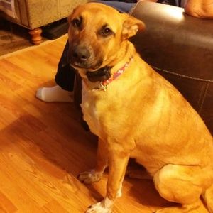 Meet your Posher, Mary