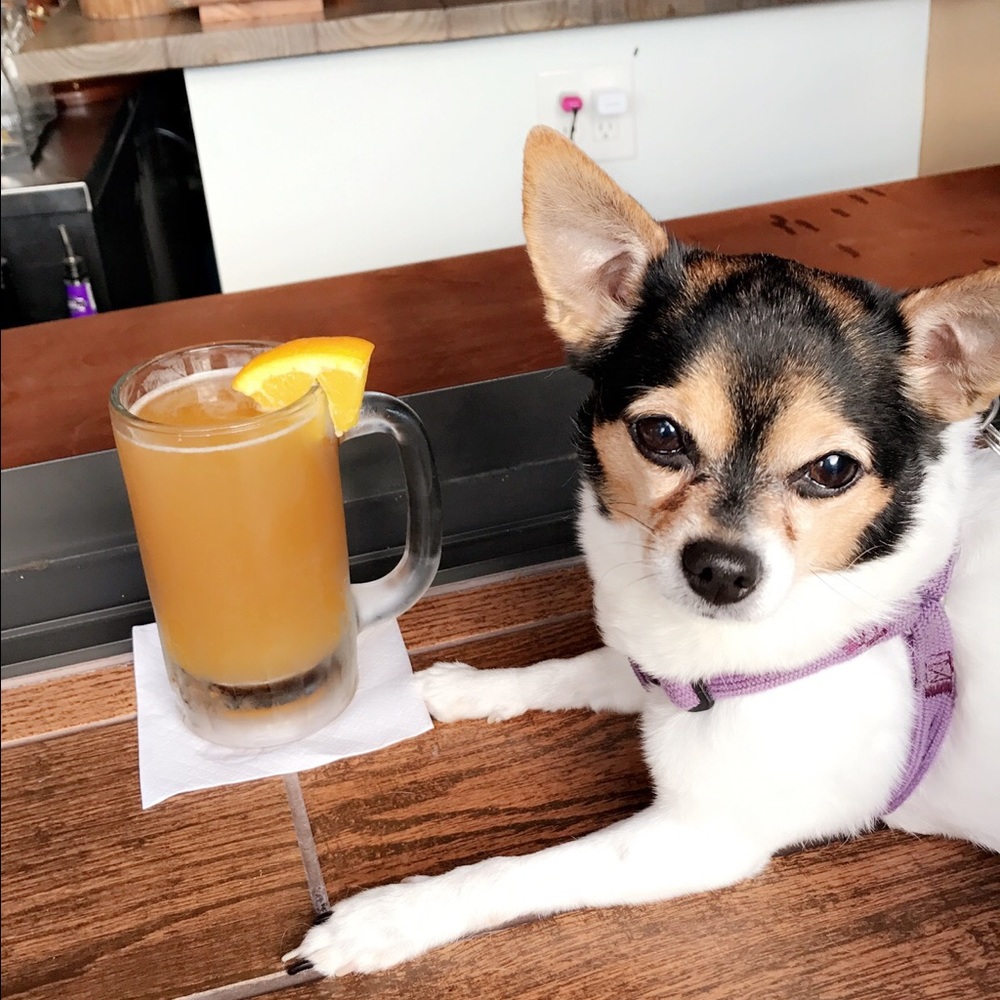 Meet your Posher, Gina