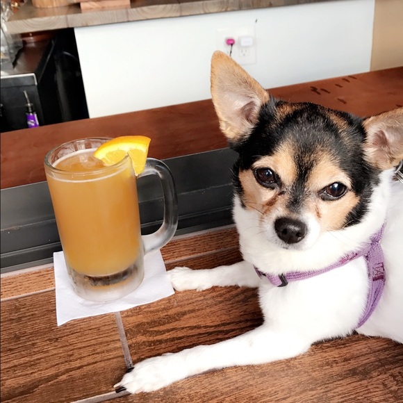 Meet your Posher, Gina - Picture 1 of 1