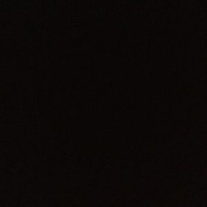 Meet your Posher, Damarae