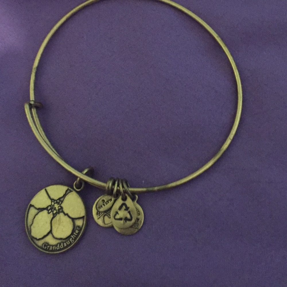 Alex and ani