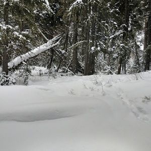 Meet your Posher, Joelle