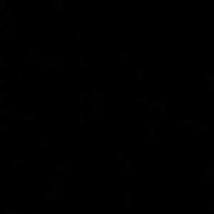 Meet your Posher, Chekesha