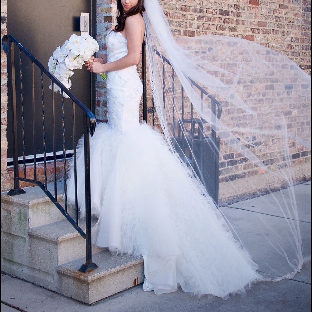 Wedding Dress and Veil