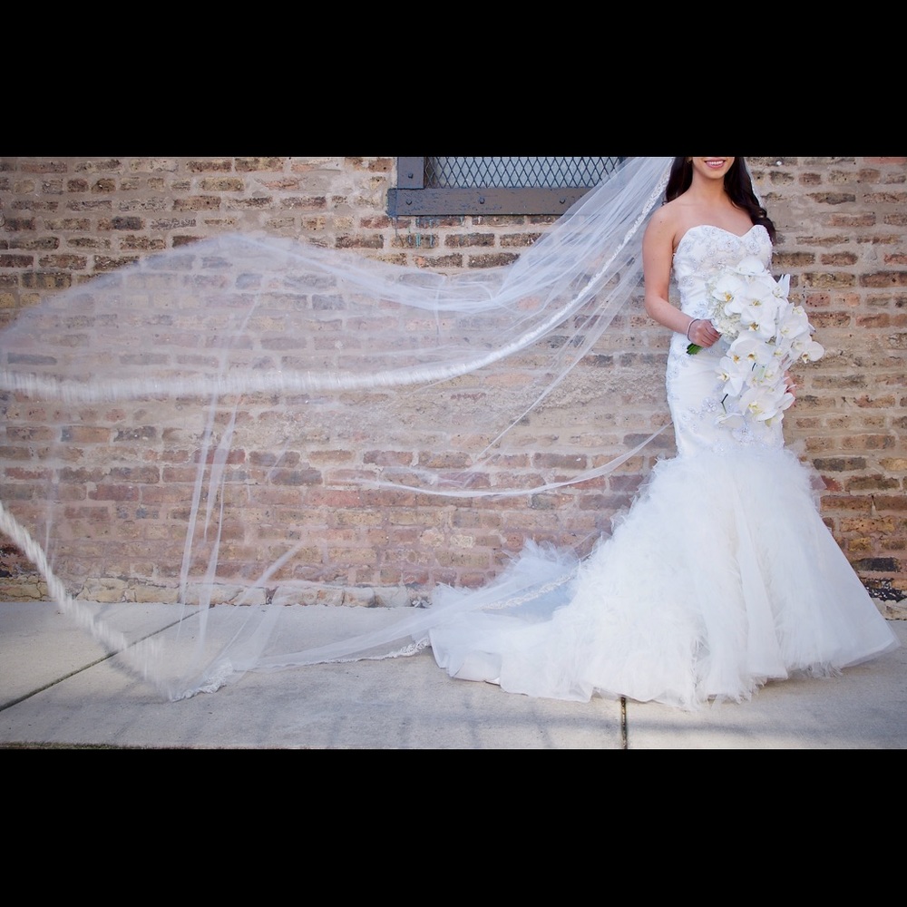 Wedding Dress and Veil - Picture 2 of 4