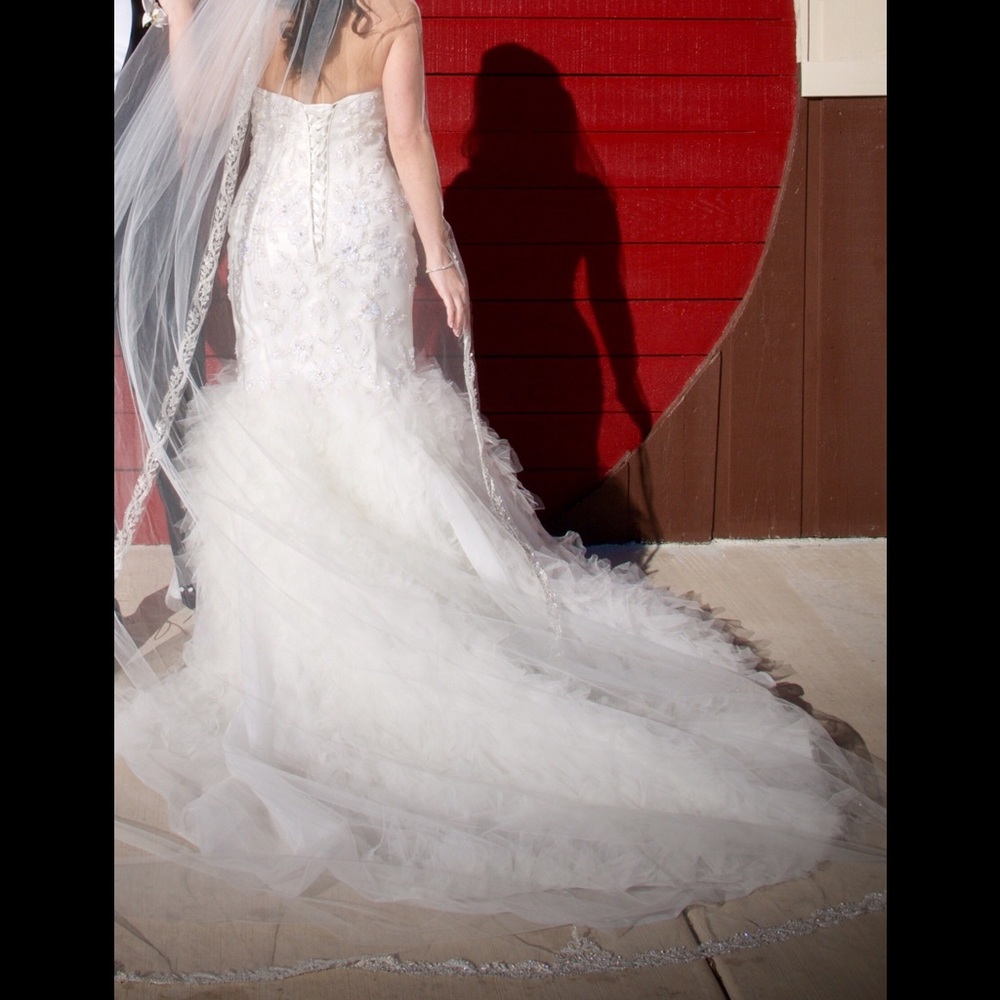 Wedding Dress and Veil - Picture 3 of 4