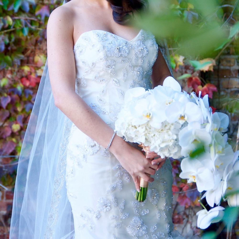 Wedding Dress and Veil - Picture 4 of 4