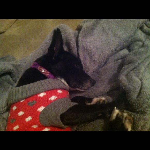 Let the games begin!!! - Picture 2 of 3