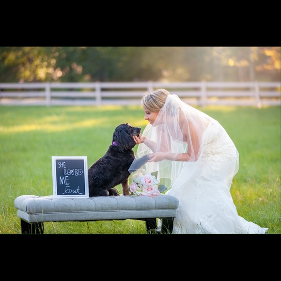 Let the games begin!!! - Picture 3 of 3