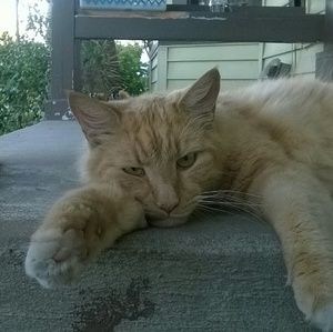 Meet your Posher, Carly