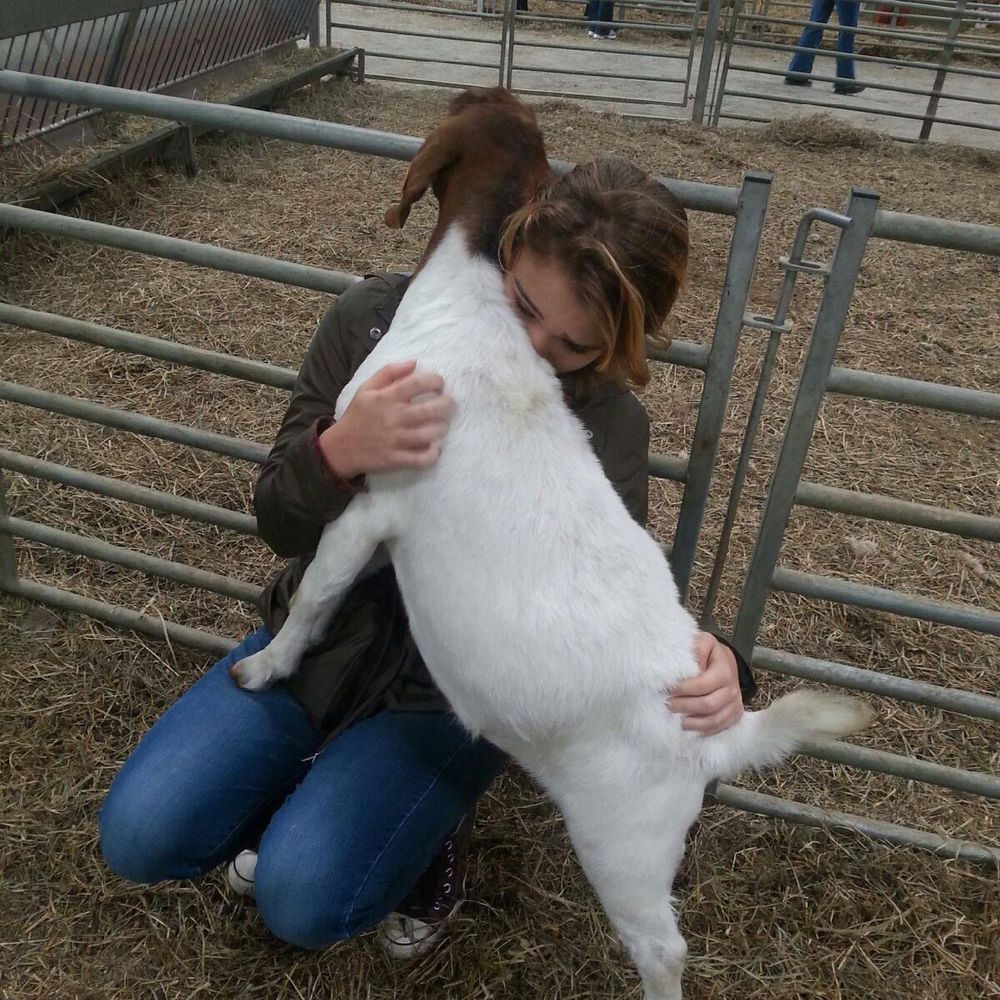 Meet your Posher, Emily