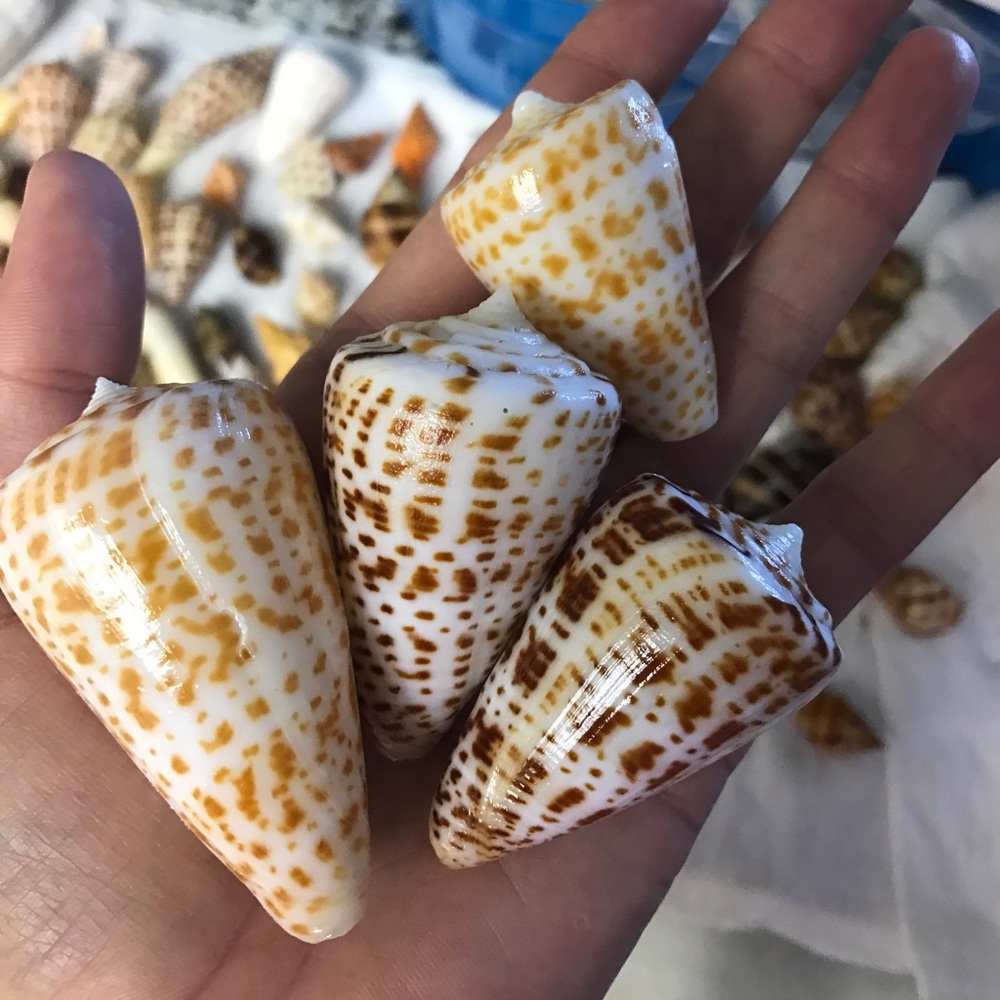 Meet your Posher, Beth