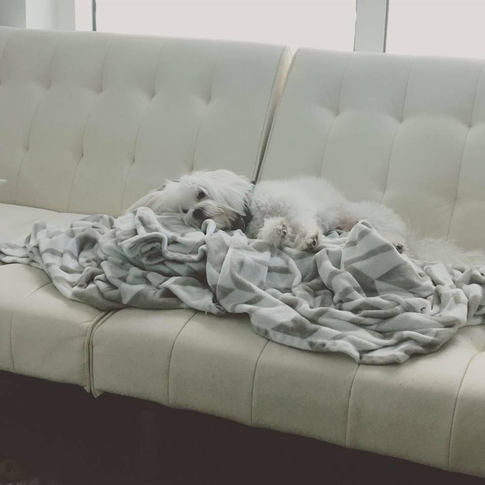 Meet your Posher, Kun